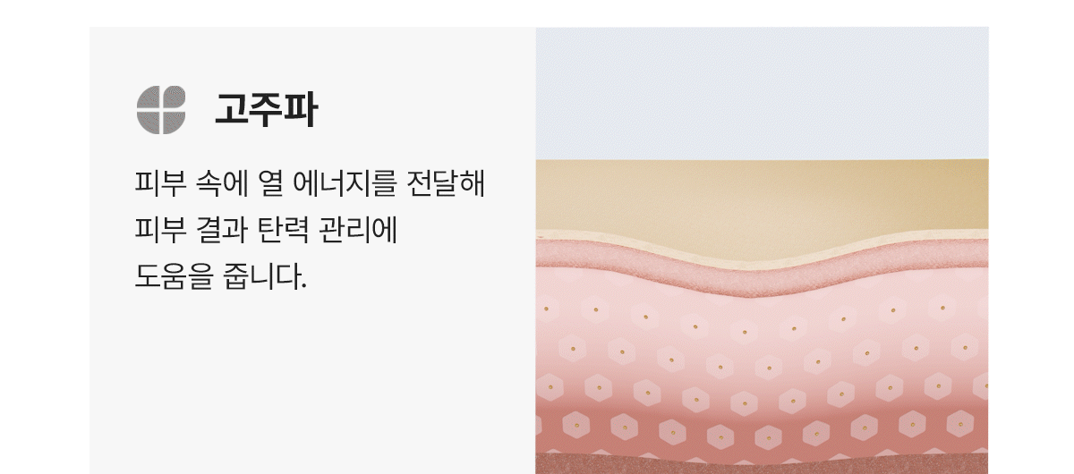 메디스파올인원